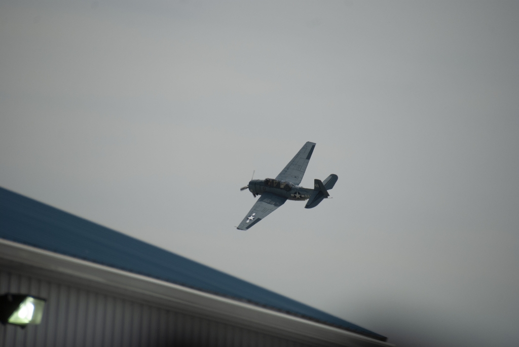 DSC_3206.jpg
